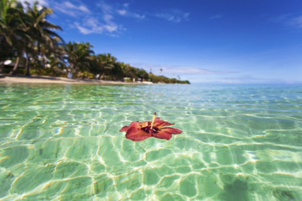 hver af pubertet Breathtaking Fiji - Where Your Nature Fantasy Comes To Life | Being Expat