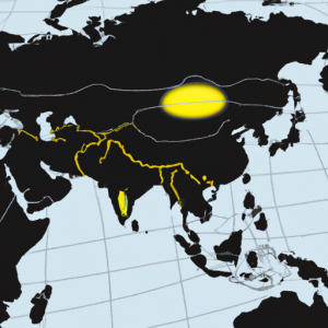 A world map with a highlighted area to represent the expatriate experience.