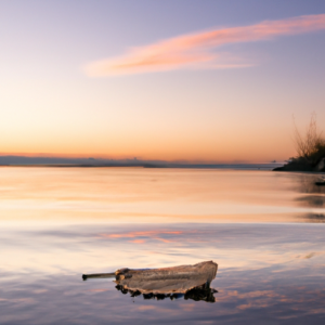 A calm sunset over a body of water with a single leaf floating on the surface.